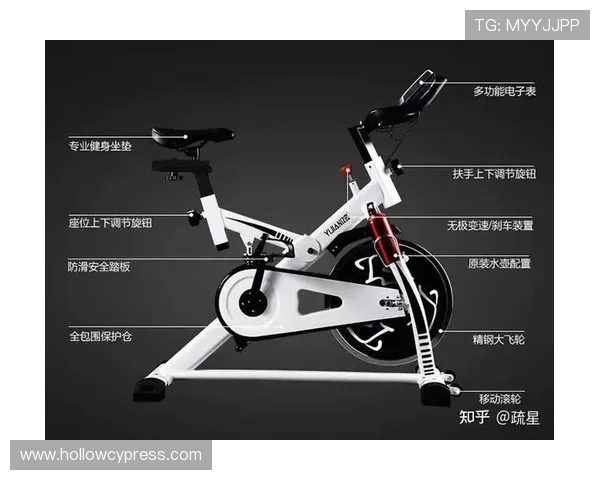 乐健体育app下载个性化运动计划,打造专属你的科学健身方案