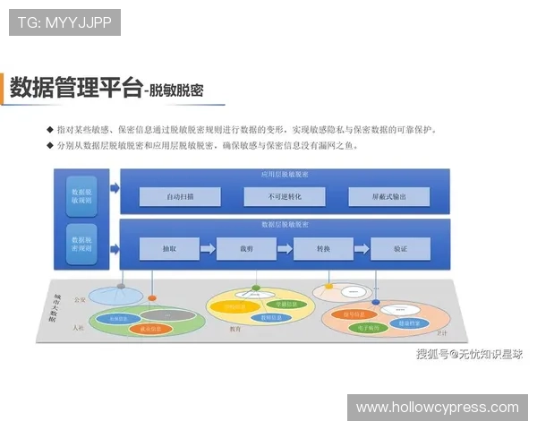 乐投控股有限公司:在数字化转型背景下的业务升级与创新路径